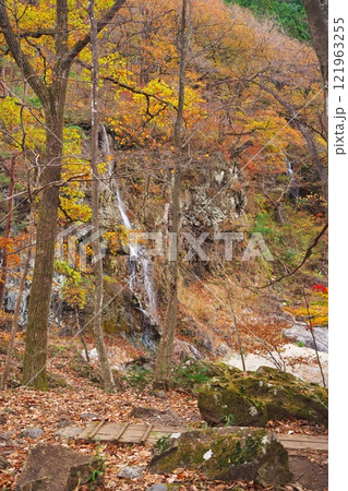 秋の日光市龍王峡 白龍峡にある無名の滝 秋の日光市龍王峡 白龍峡にある無名の滝 121963255