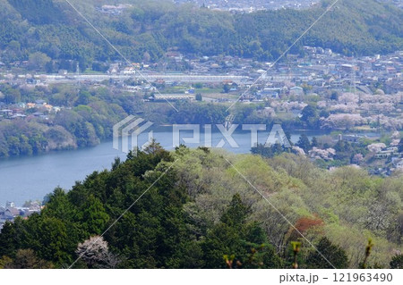 芽吹きの津久井湖 【相模原市津久井 4月】 芽吹きの津久井湖 【相模原市津久井 4月】 121963490
