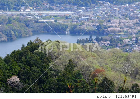 芽吹きの津久井湖 【相模原市津久井 4月】 芽吹きの津久井湖 【相模原市津久井 4月】 121963491
