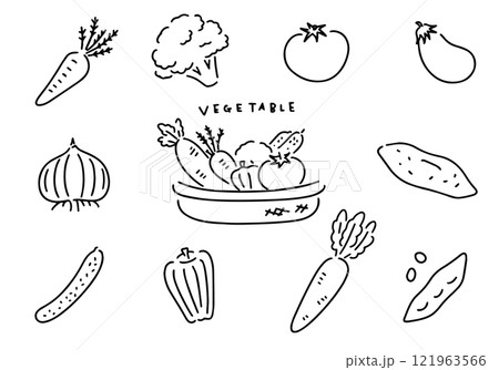 手描きのアイコン風野菜の線画 手描きのアイコン風野菜の線画 121963566