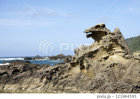 海岸線のジオサイト ゴジラに似た奇岩 121964595