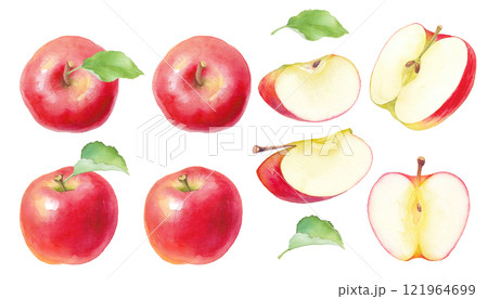 フレッシュな赤いリンゴの水彩イラスト。ホールとカットのアソート。 フレッシュな赤いリンゴの水彩イラスト。ホールとカットのアソート。 121964699