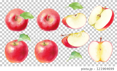 フレッシュな赤いリンゴの水彩イラスト。ホールとカットのアソート。 フレッシュな赤いリンゴの水彩イラスト。ホールとカットのアソート。 121964699