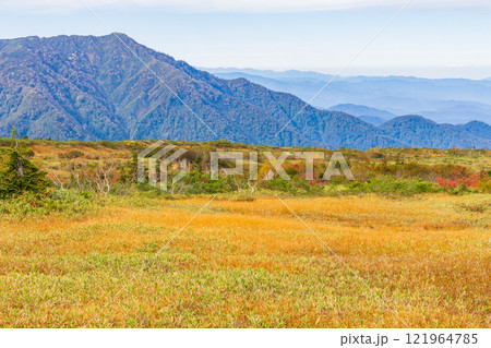秋の立山黒部アルペンルート 紅葉の弥陀ヶ原 秋の立山黒部アルペンルート 紅葉の弥陀ヶ原 121964785