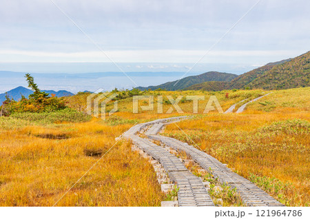 秋の立山黒部アルペンルート　紅葉の弥陀ヶ原 121964786