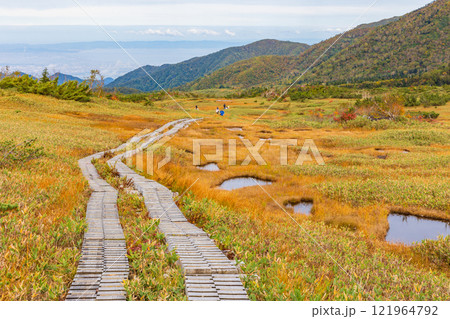 秋の立山黒部アルペンルート 紅葉の弥陀ヶ原 秋の立山黒部アルペンルート 紅葉の弥陀ヶ原 121964792