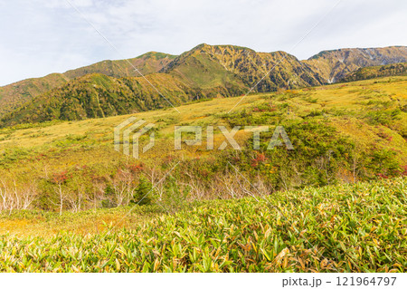 秋の立山黒部アルペンルート 紅葉の弥陀ヶ原 秋の立山黒部アルペンルート 紅葉の弥陀ヶ原 121964797