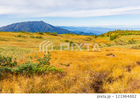 秋の立山黒部アルペンルート 紅葉の弥陀ヶ原 秋の立山黒部アルペンルート 紅葉の弥陀ヶ原 121964802