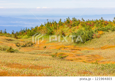 秋の立山黒部アルペンルート　紅葉の弥陀ヶ原 121964803