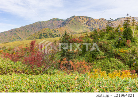 秋の立山黒部アルペンルート　紅葉の弥陀ヶ原 121964821