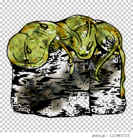 Traditional Japanese food, gunkan sushi seaweed nori wrap with wakame chuka salad, sesame chia seeds. Illustration hand drawn in watercolor, ink for restaurant, cafe menu, kitchen, cooking recipe book Traditional Japanese food, gunkan sushi seaweed nori wrap with wakame chuka salad, sesame chia seeds. Illustration hand drawn in watercolor, ink for restaurant, cafe menu, kitchen, cooking recipe book 121965725