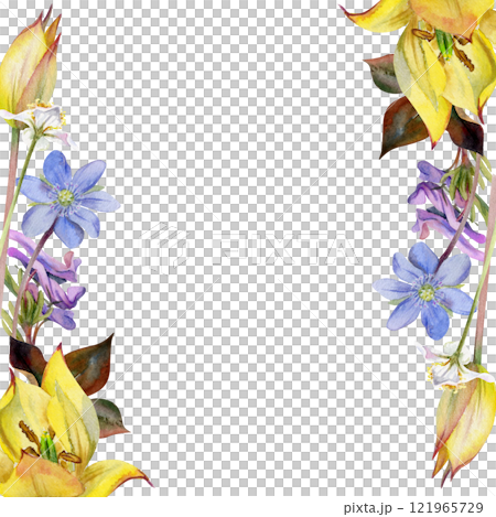 Spring flowers, white forest anemone, trout lily, yellow tulip, blue hepatica forget-me-not, purple corydalis hand drawn in watercolor. Border frame illustration for wedding, florist shop, stationery 121965729