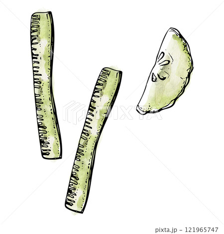 Green cucumber squash zucchini slice vegetable for diet and healthy lifestyle, salad vegan raw cooking. Illustration hand drawn in watercolor and ink for poster, recipe book, restaurant or cafe menu. 121965747