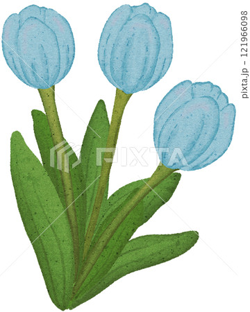 tulip coloring illustration 121966098