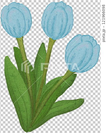 tulip coloring illustration 121966098