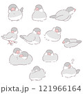 座っている文鳥のイラストセット 121966164