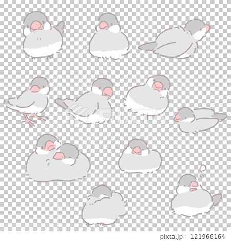 Sitting Java sparrow illustration set 121966164