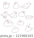 座っている白文鳥のイラストセット 121966165