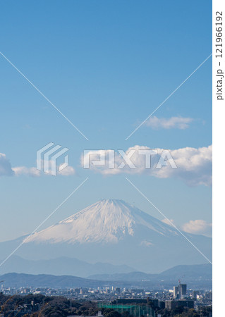 葛原岡神社から見える富士山 葛原岡神社から見える富士山 121966192