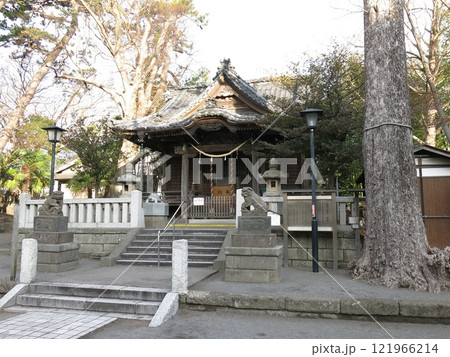逗子市の亀岡八幡宮 逗子市の亀岡八幡宮 121966214