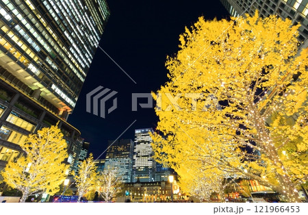 【東京都】JR東京駅の夜景（丸の内イルミネーション） 121966453