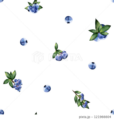 Blueberries with leaves, on a white background. Seamless pattern. Botanical illustration in realistic style. Hand drawn in watercolor for design, fabric printing, scrapbooking, cards 121966604
