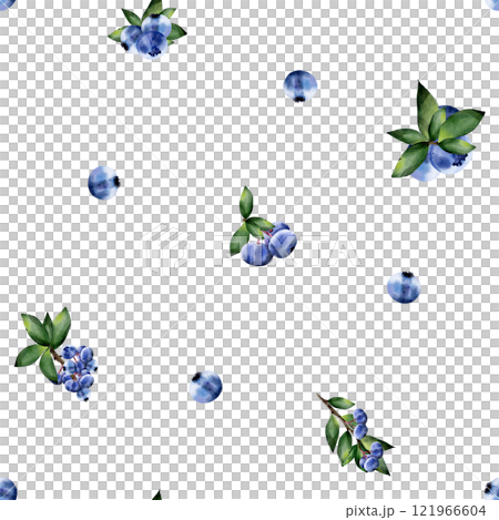 Blueberries with leaves, on a white background. Seamless pattern. Botanical illustration in realistic style. Hand drawn in watercolor for design, fabric printing, scrapbooking, cards 121966604