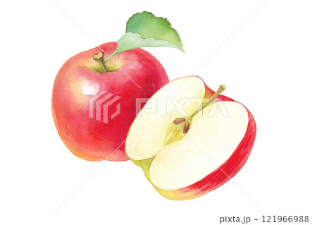 フレッシュな赤いリンゴの水彩イラスト。ホールとカットの組み合わせ 121966988
