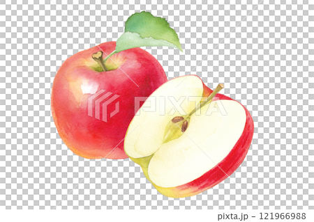 フレッシュな赤いリンゴの水彩イラスト。ホールとカットの組み合わせ 121966988