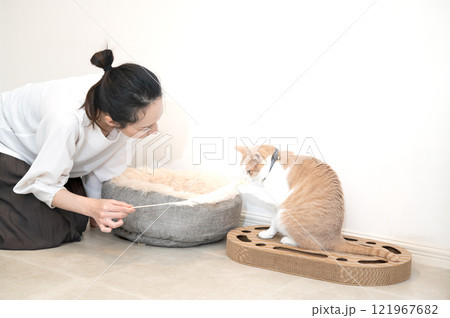 猫とじゃれ合うミドルの女性 121967682