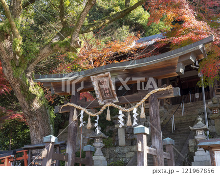 紅葉が美しい秋の鐸比古鐸比賣神社 紅葉が美しい秋の鐸比古鐸比賣神社 121967856