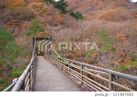 秋の日光市龍王峡　紅葉に囲まれたむささび橋 121967882