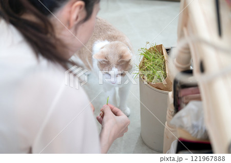 猫とじゃれ合うミドルの女性 猫とじゃれ合うミドルの女性 121967888