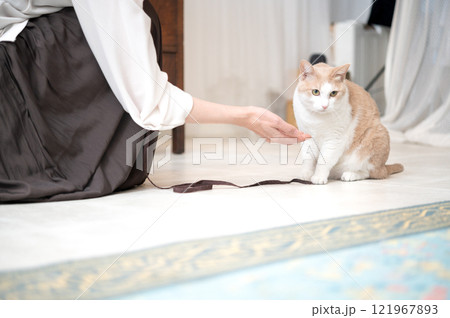 猫とじゃれ合うミドルの女性 猫とじゃれ合うミドルの女性 121967893