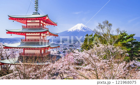 新倉山浅間公園の春絶景　展望台から富士山、五重塔、満開の桜を望む【山梨県・富士吉田市】 121968075