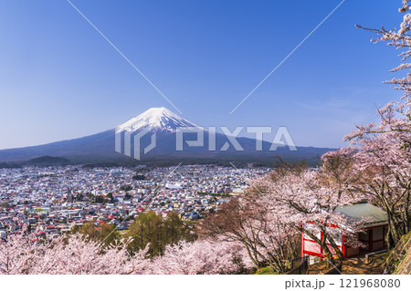 春の新倉山浅間公園の絶景 満開の桜と富士山【山梨県・富士吉田市】 春の新倉山浅間公園の絶景 満開の桜と富士山【山梨県・富士吉田市】 121968080