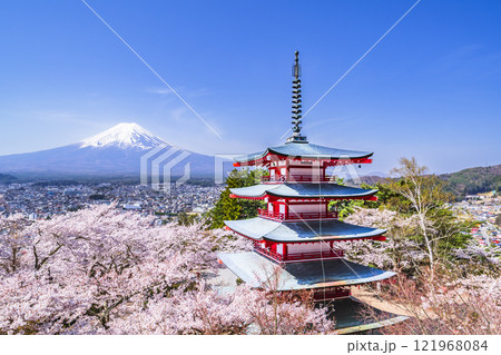 青空広がる新倉山浅間公園の春景色 富士山と忠霊塔と満開の桜【山梨県・富士吉田市】 青空広がる新倉山浅間公園の春景色 富士山と忠霊塔と満開の桜【山梨県・富士吉田市】 121968084