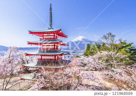 山梨の人気観光地、新倉山浅間公園の春景色【山梨県・富士吉田市】 121968089
