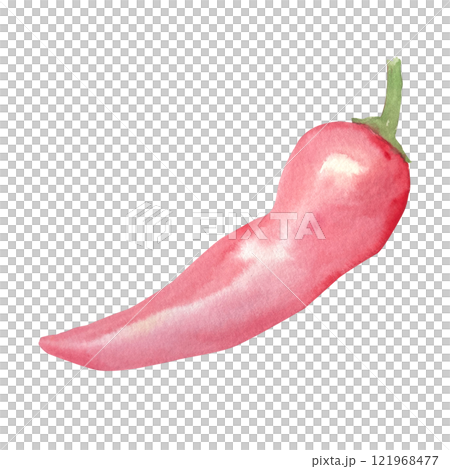 Paprika, chili pepper, sweet red pepper watercolor set isolated on white. High quality illustration. Hand painted garden plant great for packages, cook books, oil bottles, recipes, cards decor design 121968477