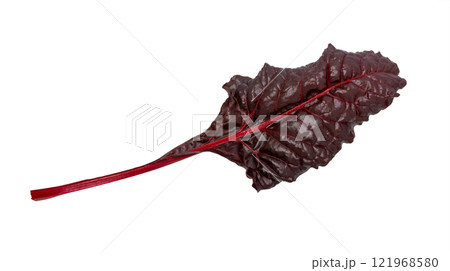 Beetroot leaves, fresh beet leaf 121968580
