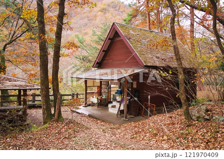 秋の日光市龍王峡　黄葉に囲まれたむささび茶屋 121970409