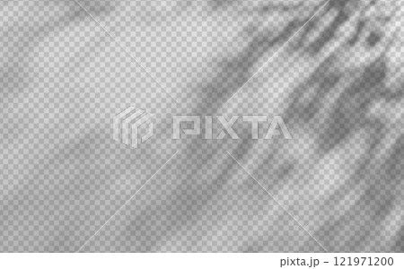 Abstract shadow overlay from foliage on a transparent background. 121971200
