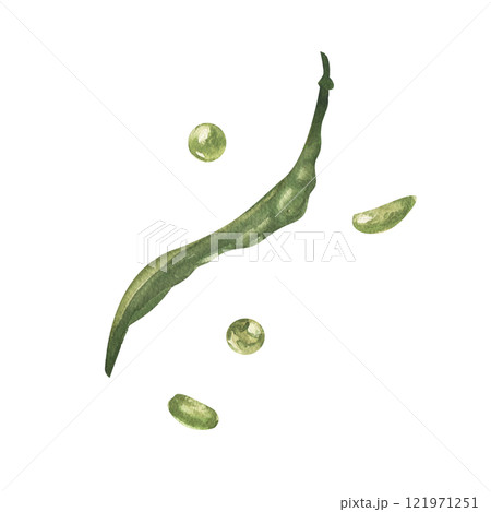 Green vegetables organic food, beans watercolor illustration. Hand drawn vegetarian eating clipart, bean-pod painting isolated for grocery shop label, logo, cafe menu design 121971251