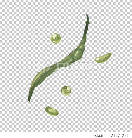 Green vegetables organic food, beans watercolor illustration. Hand drawn vegetarian eating clipart, bean-pod painting isolated for grocery shop label, logo, cafe menu design 121971251