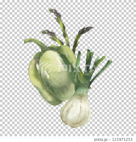 Green vegetables composition with sweet pepper, onion shallot and asparagus branches watercolor illustration. Hand drawn organic vegan food clipart for grocery shop, food market label, logo design. 121971253