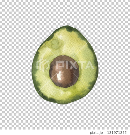 Green fresh avocado slice watercolor illustration. Hand drawn vegetable clipart, organic garden food for vegan, grocery shop label, logo design. Isolated round vegetarian eating object 121971255
