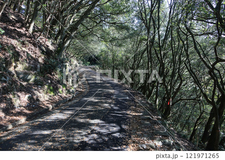 屋島北嶺の山頂ハイキング道（北から南へ） 121971265