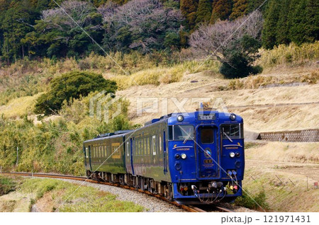 立野のスイッチバックを上ってくる観光列車「かわせみ やませみ」 121971431