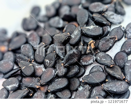 スイカの種 スイカの種 121971677