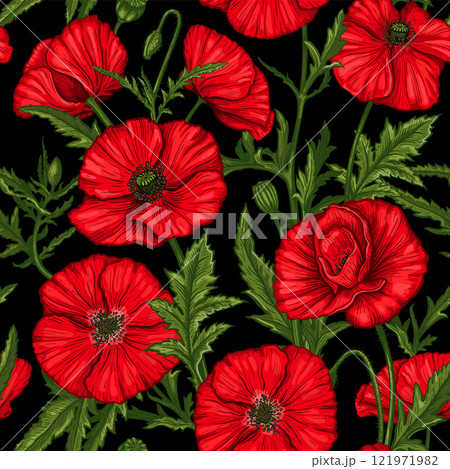 Poppy flowers seamless pattern 2 121971982
